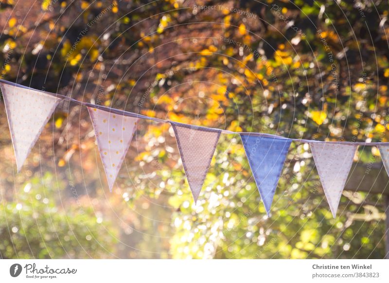 Colourful pennant chain in front of autumnally coloured trees and bushes on a sunny autumn day with low sun and light reflections Autumn Autumnal