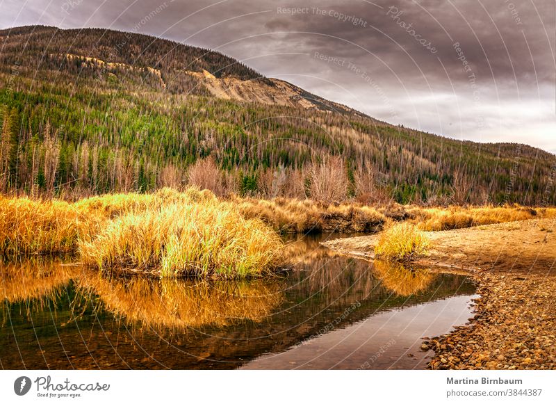 Dramatic clouds in October over the Colorado river in the Rocky Mountain National Park fall rocky mountain national park colorado river trees famous place creek