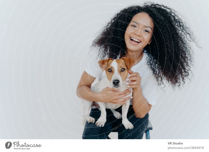 Portrait of joyful curly girl petting her dog, rejoicing buying jack russell terrier, smiles broadly, plays with animal, wears casual clothing, isolated over white background, enjoys good day