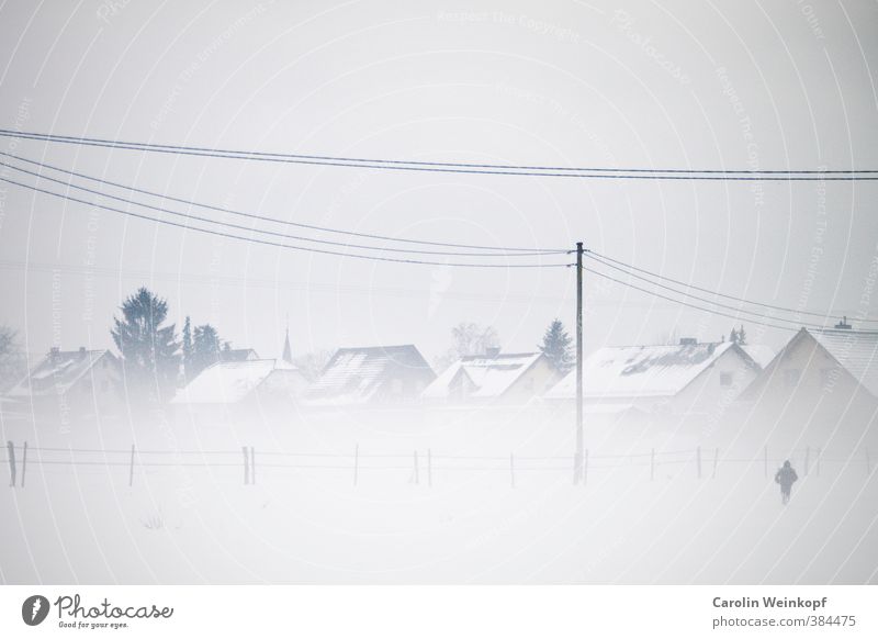 Snow flurries. Landscape Sky Winter Fog Ice Frost Snowfall Field Exceptional Cold Gray White House (Residential Structure) Village Germany Electricity pylon