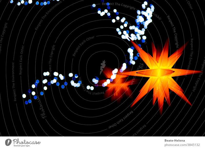 Glimpses of light - Happy holidays Stars clearer light points Holidays Lighting Herrnhuter Star Christmas Christmas & Advent Christmas star Decoration