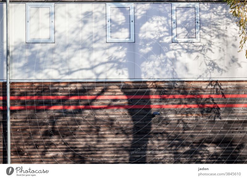 façade greening. Facade Shadow Window Venetian blinds Downspout Wall (building) House (Residential Structure) Exterior shot Deserted Building Architecture