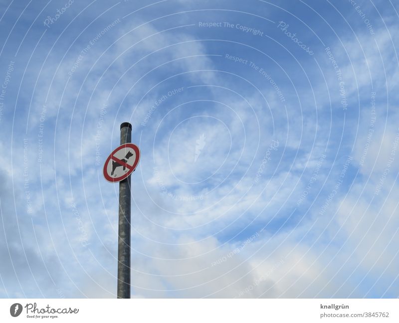 Dogs forbidden Sign Signage Signs and labeling Prohibition sign Bans Warning sign Exterior shot Deserted Day Warning label Colour photo Sky cloudy sky