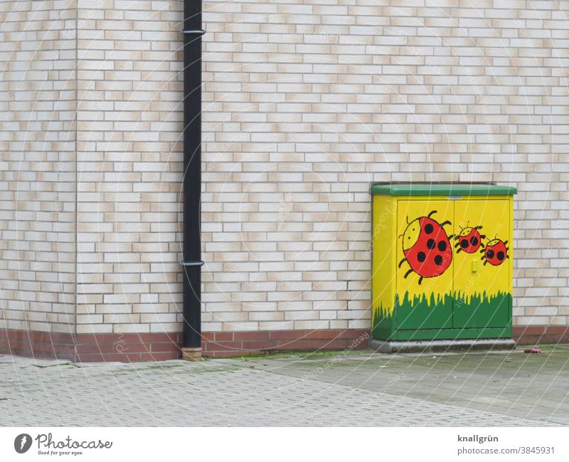 A power distribution box painted with three ladybirds Ladybird Painted power box house corner Childlike handpainted Facade clinker Downpipe Downspout