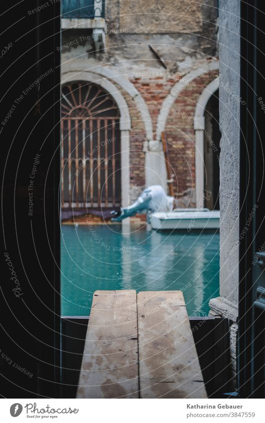 Flood in Venice Deluge flood protection door Water House (Residential Structure) Channel Old town Italy