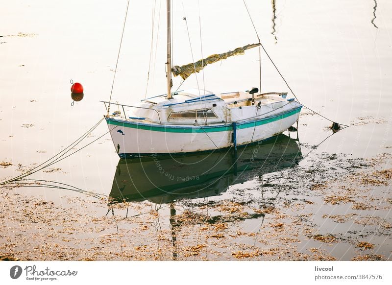 small sailboat moored in port, ploumanach-france white boat sea quaid coast village calm shadow float brittany europe float up yacht sailer sailing ship