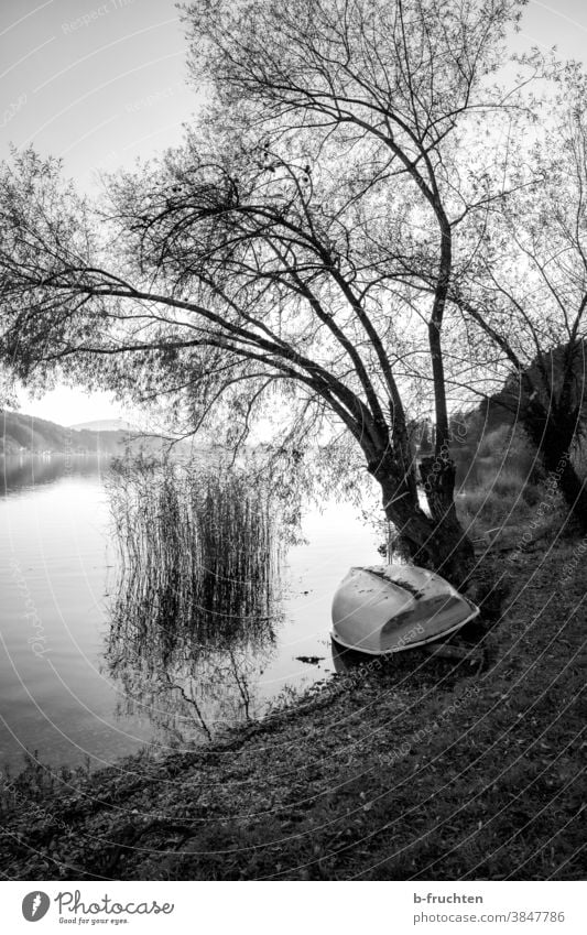 Boat lies on the lake shore, black and white photography Lake Lakeside Austria Autumn Landscape Nature Water Exterior shot Environment Sky Calm Deserted Idyll