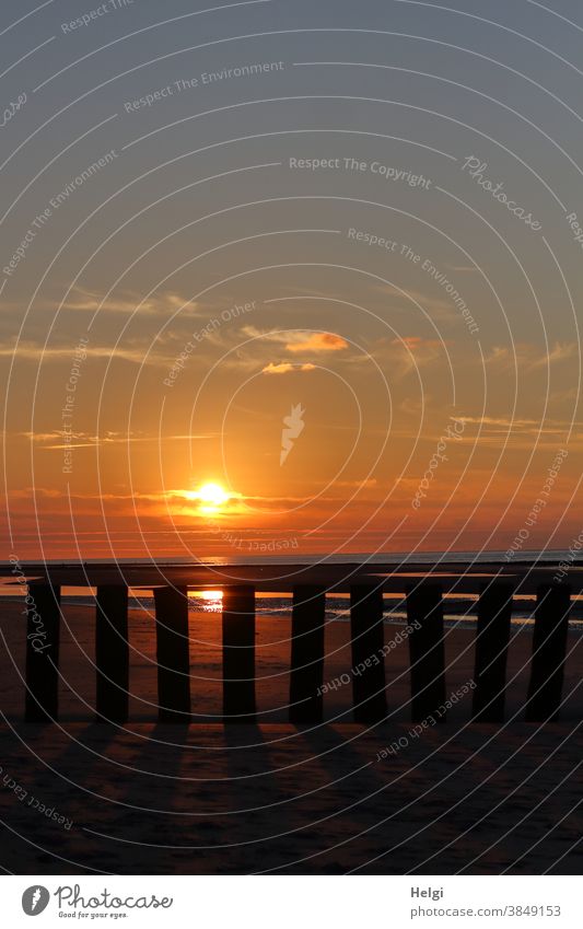 Sunset on the beach behind the groin Sunlight Evening sun Beach Break water Wangerooge Dusk Sky Clouds Nature Back-light Ocean Water Vacation & Travel Light