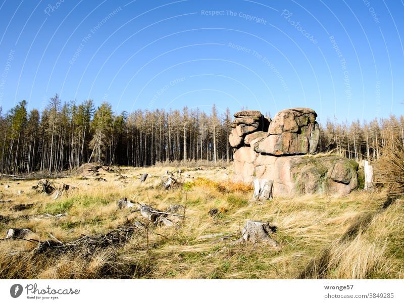 Art in building|Master builder Nature topic day Cliff Rock Harz Cliff rock formation Granite Highlands natural monument Saxony-Anhalt Landscape Exterior shot