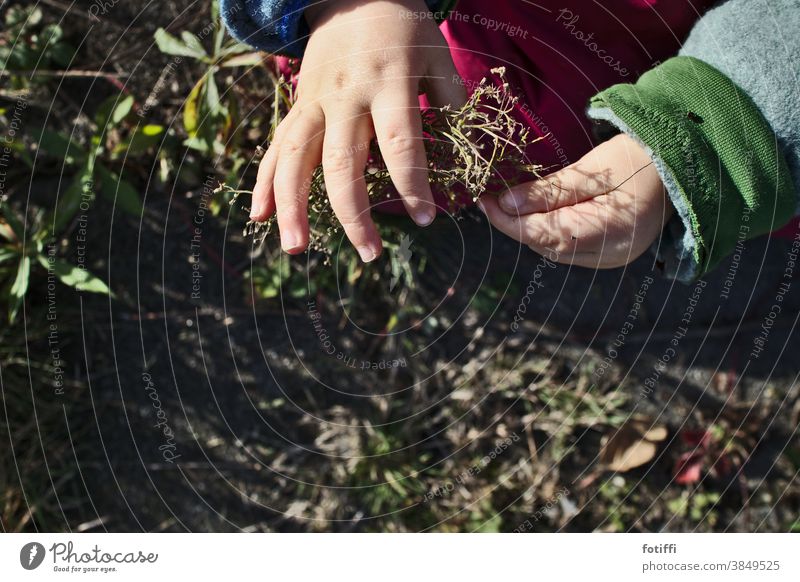 Gently Child Plant Comprehend feel Garden Experience Toddler Exterior shot Hand Study Nature Parenting Environment Discover