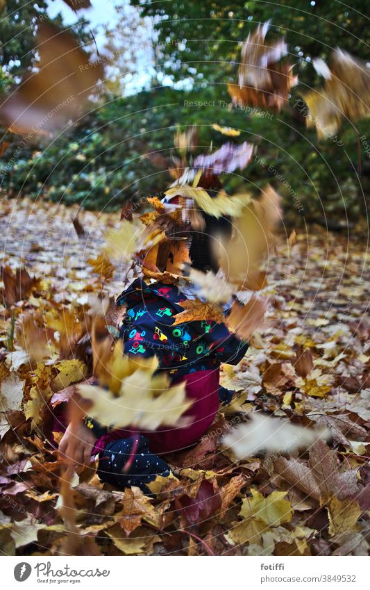 Infant disappears in flying leaves leaf fall Autumn Autumnal leaflet Joy chirpy Flying To fall Seasons Exterior shot Autumn leaves Autumnal colours Leaf