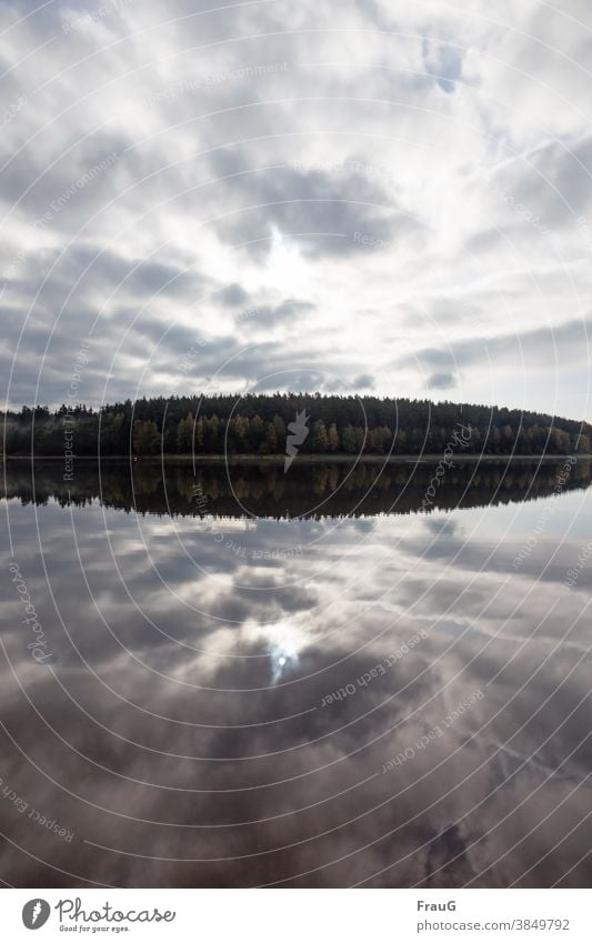 surreal | reflection Forest Sky Clouds Water Lake Lakeside Reflection in the water Sun Autumn Nature illusive Landscape