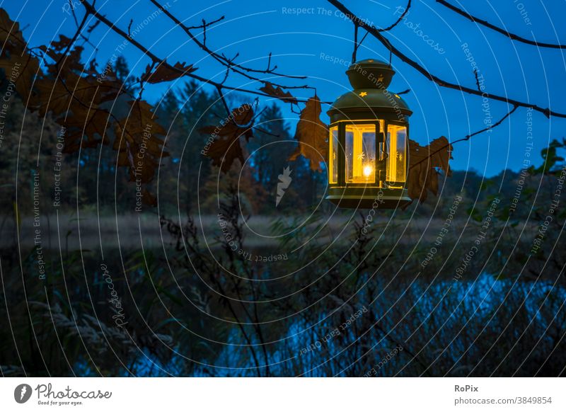 Shining lantern on the shore of an evening lake. Forest Sun Autumn Landscape off path oaks Avenue off the beaten track Nature forest path Season Weather