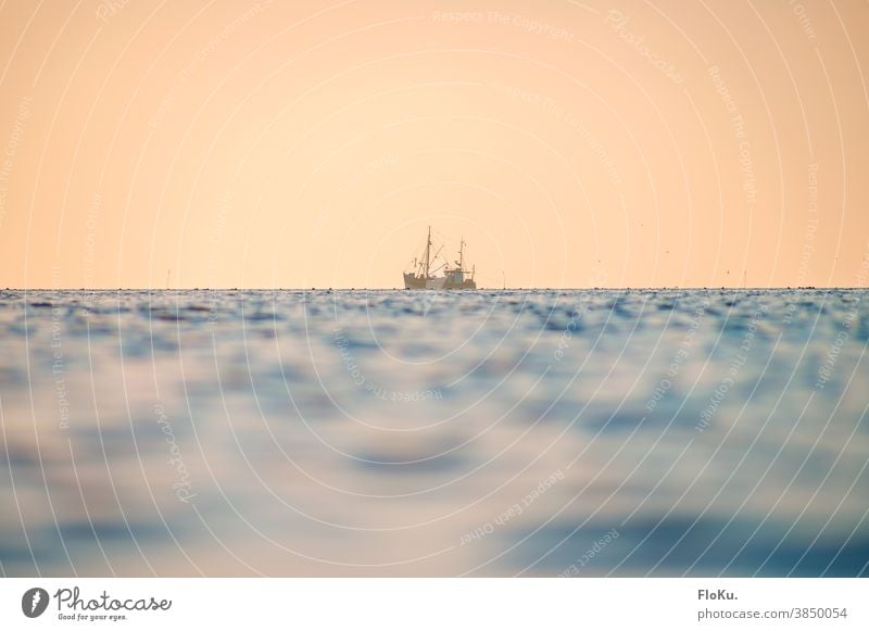 Fishing cutter on the North Sea in the evening light Sunset Sunlight Boating trip boat fish fishing Fishing boat Reflection Far-off places Colour photo Blue Sky