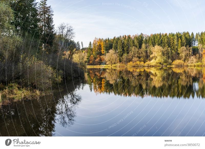 Autumn leaves are reflected in the water of the Windach reservoir in Bavaria autumn color autumn forest autumn leaves bavaria colorful landscape nature