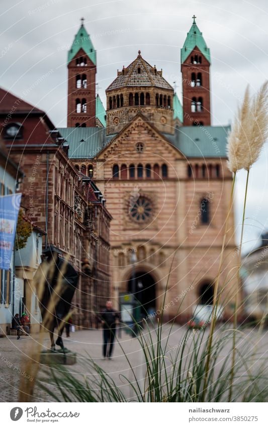 Speyer city Dome palatinate Street Pedestrian precinct grey sky Sky Gray clouds Autumn Tilt-Shift Life Main street Rhineland-Palatinate Town Old town Church