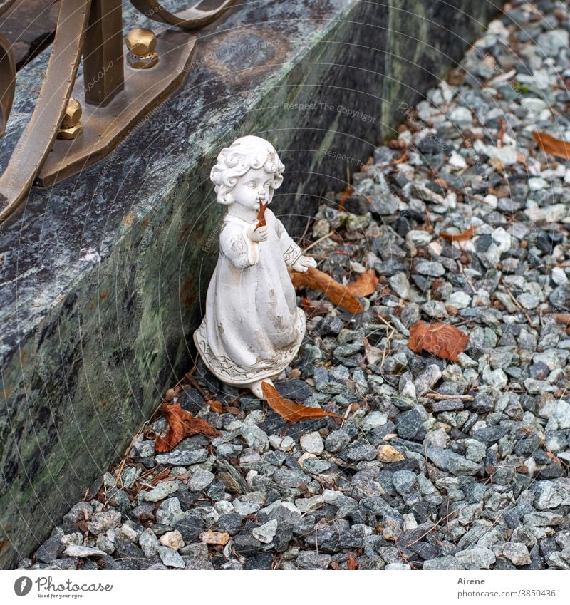 dear angels Angel Grave cherubs Small Cemetery Grief pray Autumn Autumn leaves White Statue Image Ledger Memory commemoration In memoriam Child Children's grave