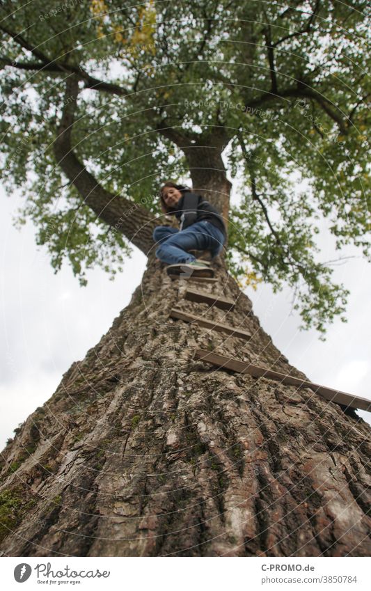 Girl climbs a high tree Tree Brave overcoming Tall Deciduous tree into the sky Adventure eye contact Depth of field blurred