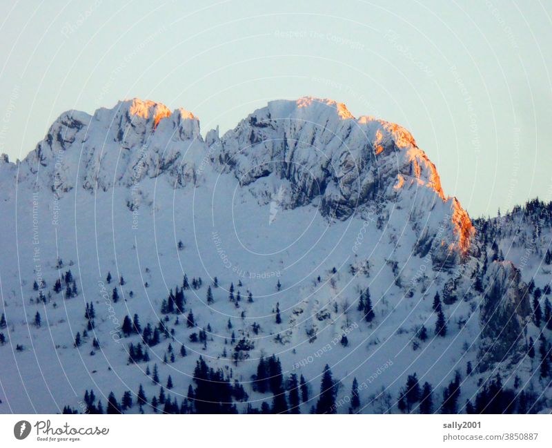 the Kampenwand at sunset... camping wall Chiemgau Chiemgau Alps Upper Bavaria Mountain Winter Snow Sunset alpenglow Peak Landscape Nature Snowcapped peak Cold