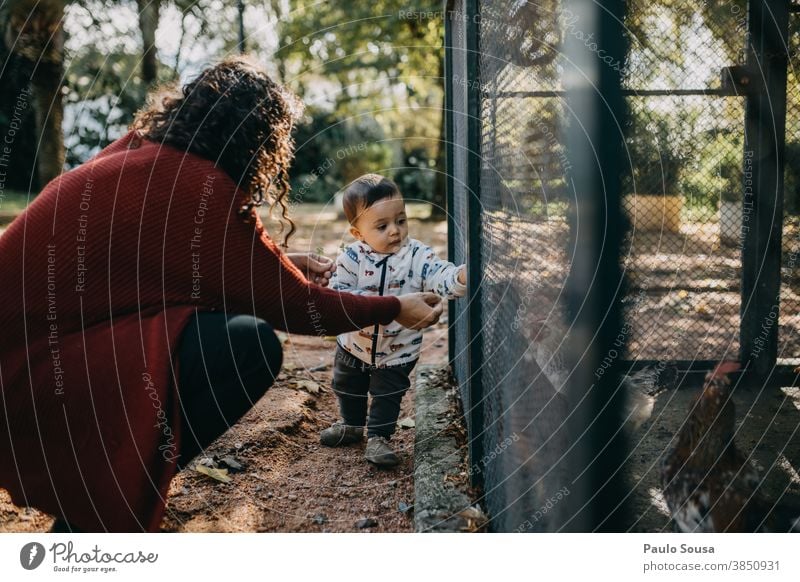 Mother and child feeding chickens 0-09 years 30-39 years Lifestyle affectionate authentic autumn caring casual caucasian color curiosity curly hair day