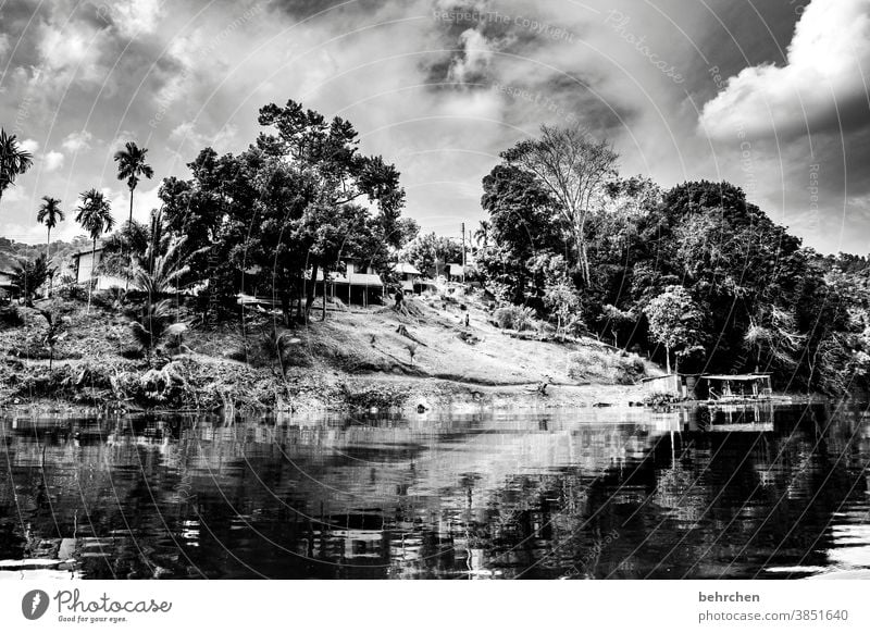 color reduced | dramatic Contrast Deserted Exterior shot Impressive Idyll Wanderlust Gorgeous Iban Sarawak Borneo Malaya Asia Loneliness Fantastic Exotic