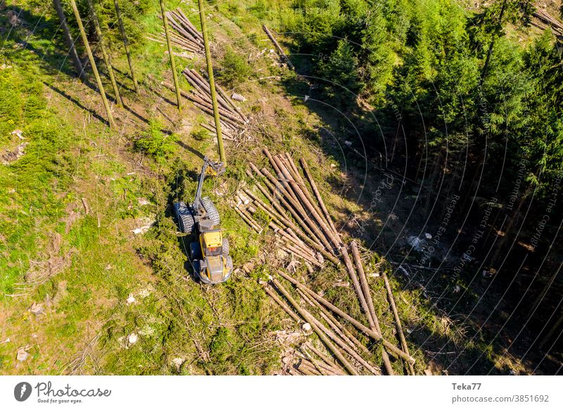 a modern forest harvester working in the forest from above modern harvester felled forest bark beetle climate change tree stump dead forest forester yellow