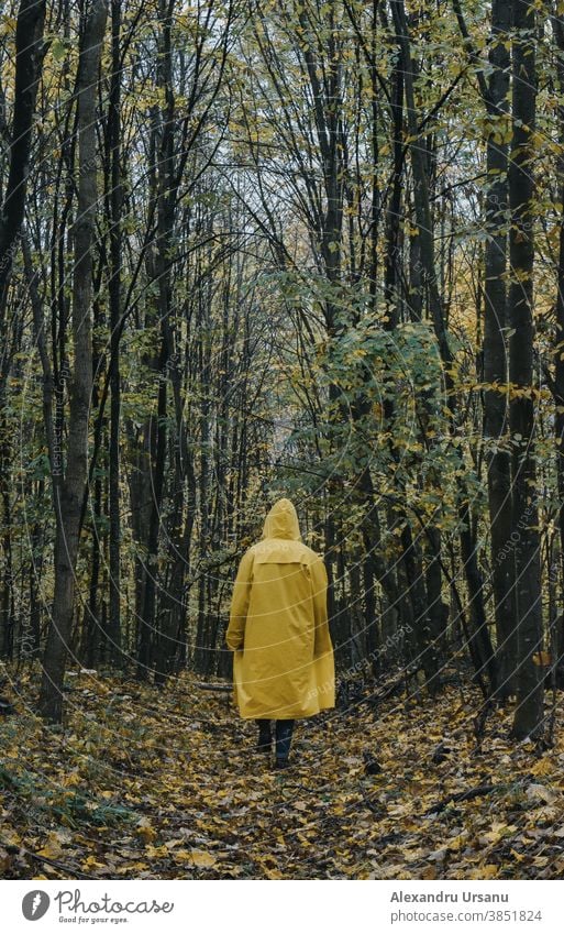 A guy in a yellow jacket walking in the forest in autumn season. Forest Walking Guy Trees Jacket Yellow Moody Dark Nature Rain jacket