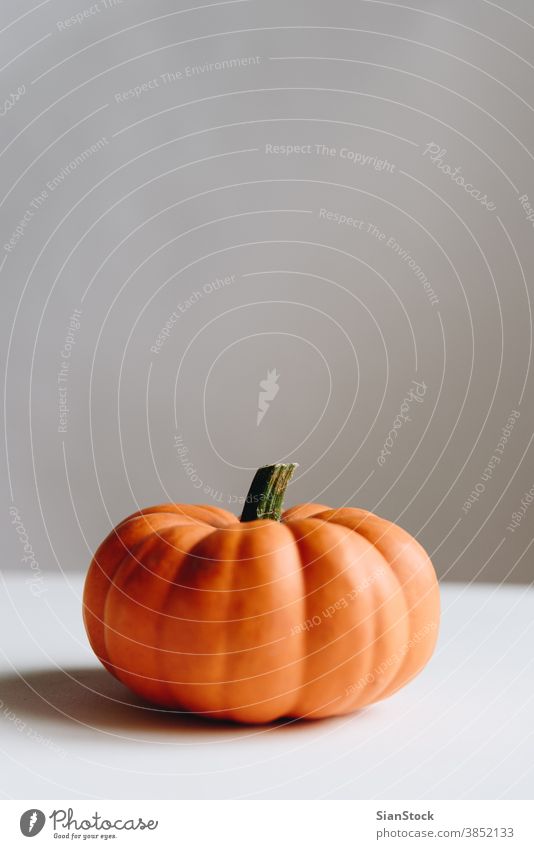 Orange pumpkin on a whtie background. Halloween concept. white halloween orange jack decoration fresh autumn ripe boo food vegetable isolated thanksgiving