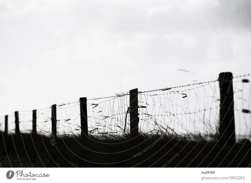 dark dark fence on a dike Fence Dike Dark Winter Gale North Sea Threat coast Storm Bad weather Storm clouds Clouds Wind Wire fence Wire netting