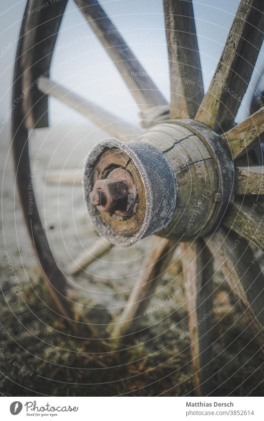 Street in the morning fog Fog Shroud of fog Misty atmosphere Landscape Country road Sunrise Dawn wagon wheel