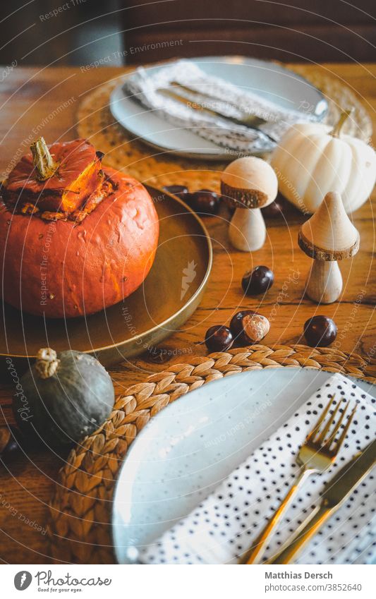 Pumpkin au gratin Pumpkin time Pumpkin soup pumpkin head Pumpkin plants Dinner Lunch Feasts & Celebrations Festive Table laid table Autumn Autumnal Decoration