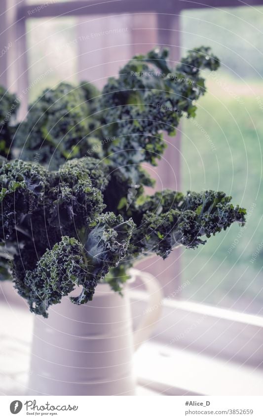 Kale leaves in vintage pot in front of country house window background brassica cabbage closeup cultivation curly detox diet Edible kale farm food frame fresh