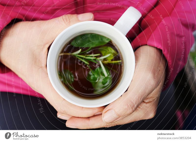 Porcelain Mug Beverage with Herbs and Leaves Held in Hands drink beverage tea hot rosemary leaf floating liquid cup mug unrecognizable person hand only