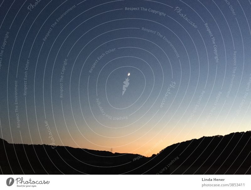 Sunset with half moon Sky Sunset sky Sunset light Sun in the evening Sunlight Evening evening sky Moon Moonlight Summer night Night evening mood romantic