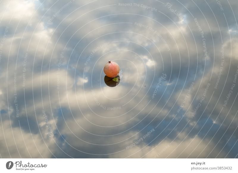 Buoy on water surface in which clouds are reflected Water Clouds Sky reflection Reflection Deserted Lake Calm Blue Exterior shot Surface of water