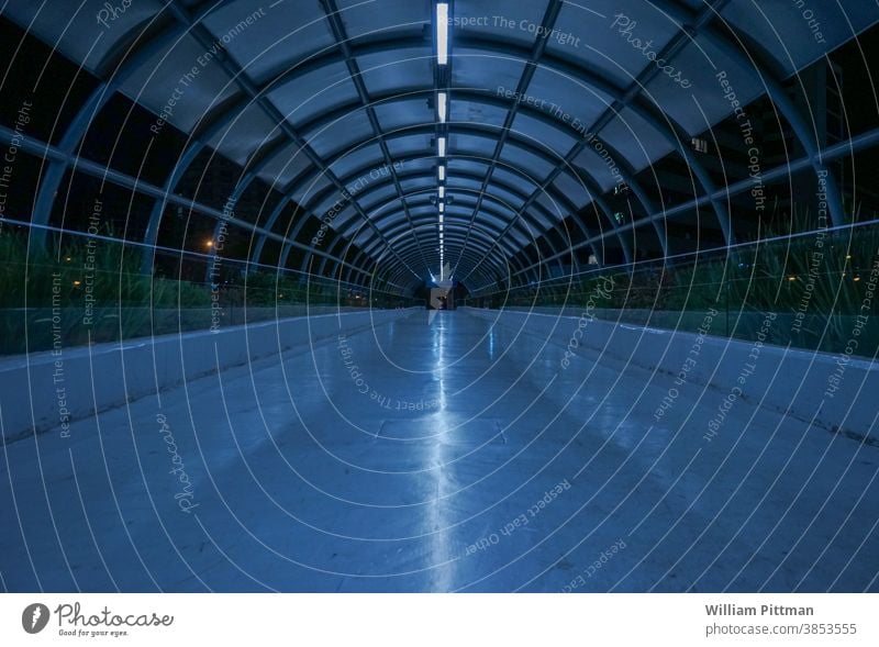 Blue Walkway color image walkway Moody moody atmosphere Colour photo Vanishing point Deserted Exterior shot Copy Space Cold Central perspective Subdued colour