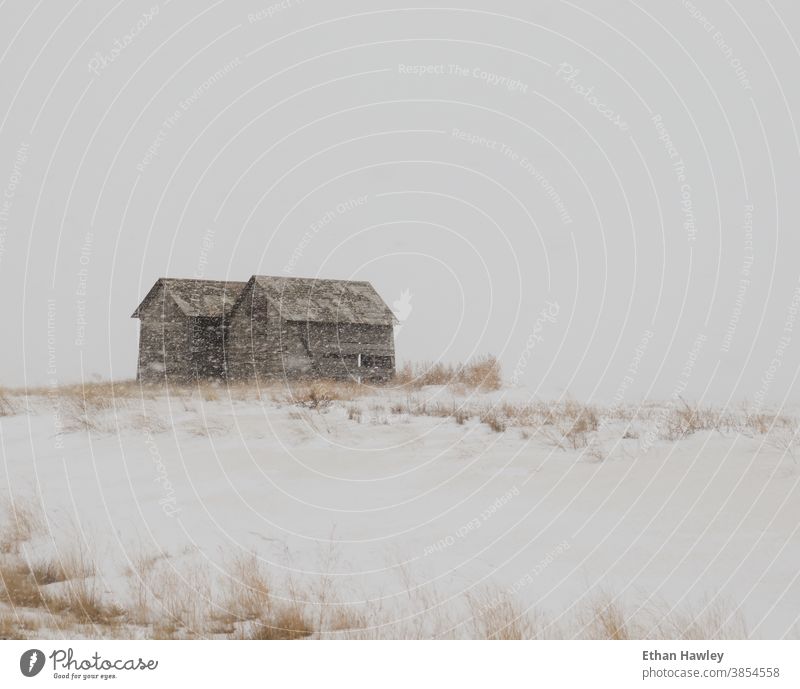 abandoned barns in snowstorm abandoned building Deserted Old vintage rural prairie Snowstorm old architecture farmland Farmhouse