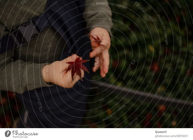 Kid with leaves in his hands Child Infancy Autumn go gambling Playing Hand cute out being out Garden Nature Love of nature Toddler 1 - 3 years Joy