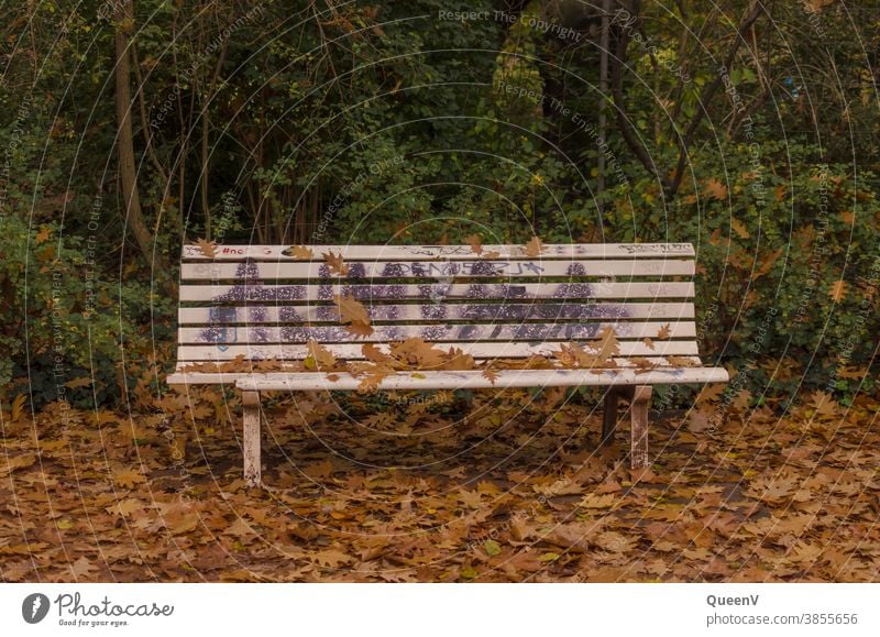 Smeared bench with leaves in autumn Park Autumn October November Graffiti Wedding dress Orange Town Colourful buildings Orange tree To fall City life Nature