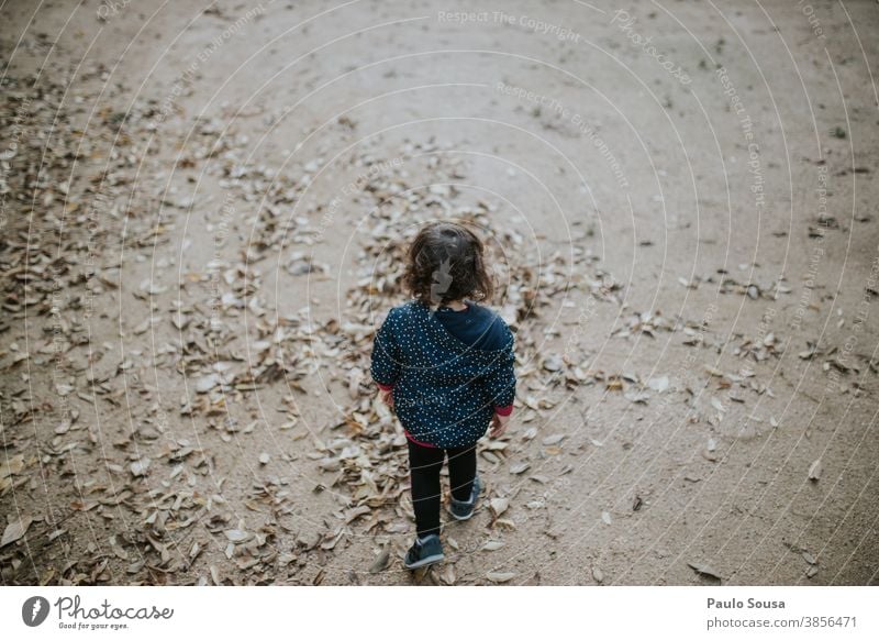 Rear view child walking through autumn leaves Autumn Autumnal Autumn leaves Child childhood Children's game Playing 1 - 3 years Human being Toddler