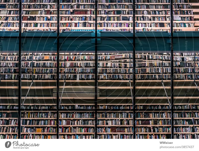 A wall of thousands of books in a library Library Wall (building) Many reflection Glass quantity Riga Reading reading Art Literature Book Education Novel