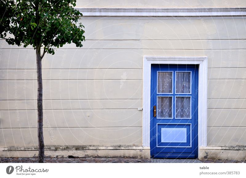 small-town idyll Tree Foliage plant Village Small Town Outskirts Old town Deserted House (Residential Structure) Building Apartment Building Wall (barrier)