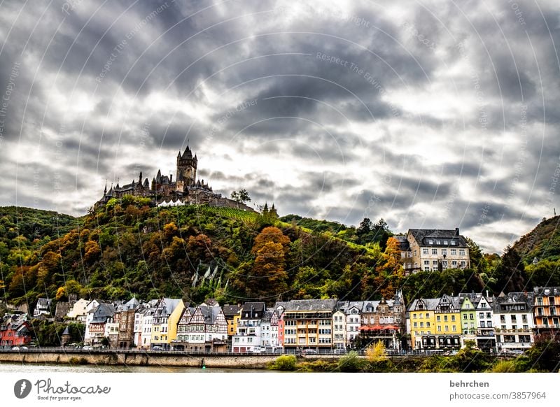 imperial castle Autumnal Seasons Rain Hunsrück Moselle valley Mosel (wine-growing area) River bank Rhineland-Palatinate Wine growing tranquillity Idyll vine