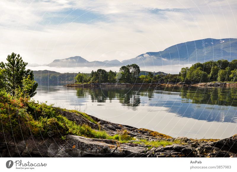 Fog over overgrown rocks in the fjord Rovdefjord Fjord Norway Nature Scandinavia Water Sky Clouds Vacation & Travel Ocean Rock Europe Horizon