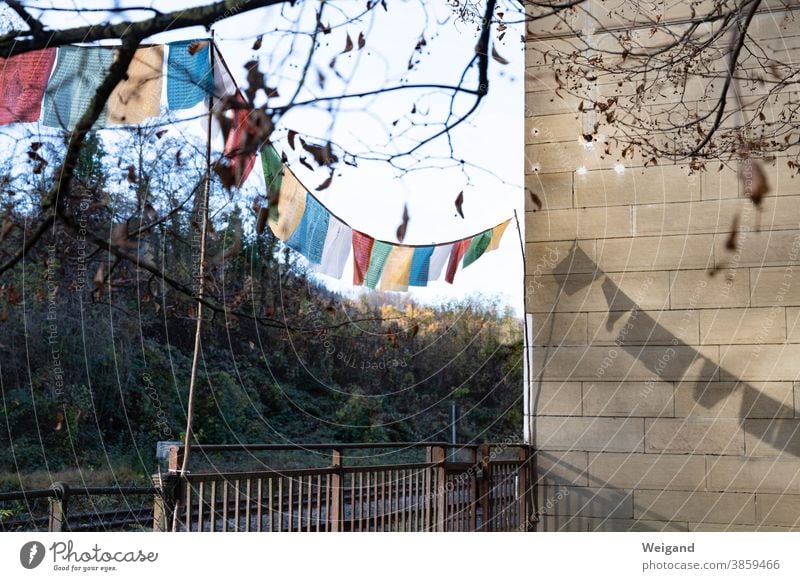 Prayer flags in the garden Prayer Flags House (Residential Structure) petty bourgeois variegated multicultural Difference