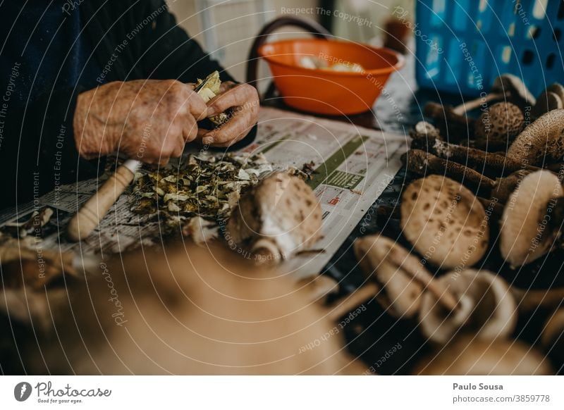 Senior woman preparing mushrooms Edible edible mushroom Preparation Food Mushroom Colour photo Autumn Nature Delicious Exterior shot Forest Environment