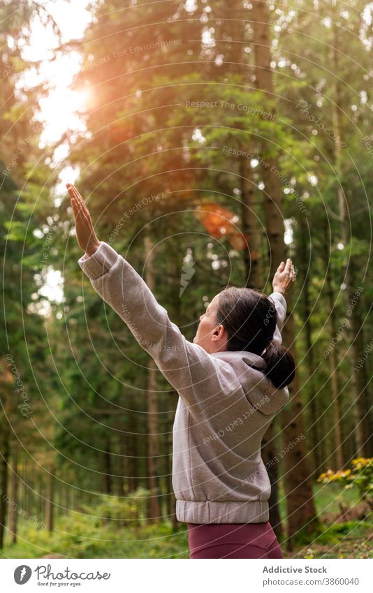 Tranquil woman enjoying morning in forest freedom traveler explore tranquil wanderlust adventure female woods early sunlight sunrise dawn nature relax scenic