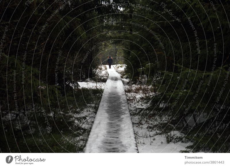 Wanderlust | Black Forest with wooden path and snow Forest path wooden walkway Hiking Going wanderlust Target Snow light and dark persons hikers 2 Winter Nature