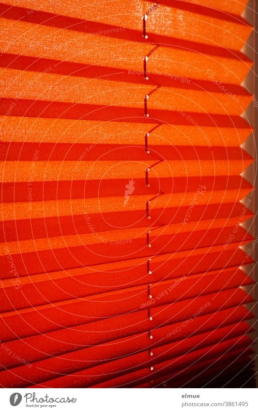 orange pleated blind in front of a window as sun protection / light protection / privacy protection Venetian blinds Window Orange Pleated blinds Screening slats