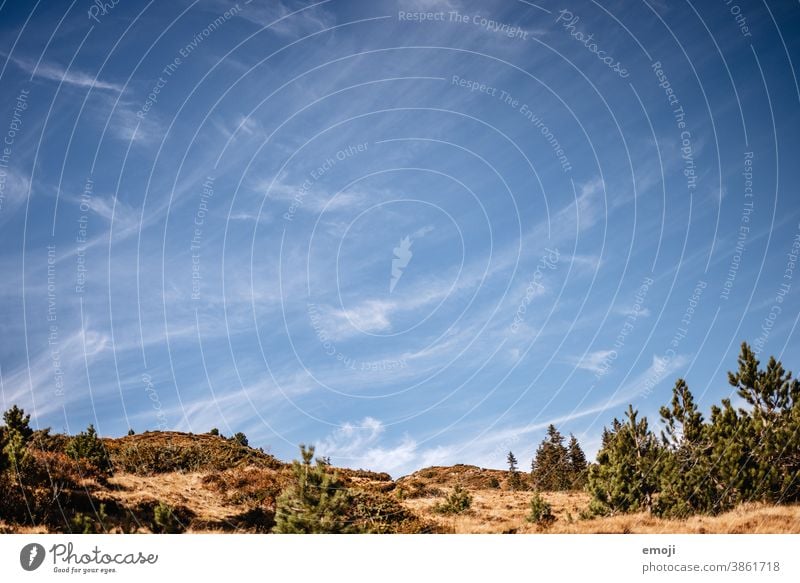 Cirrus clouds blue sky cirrus clouds Sky Blue sky Beautiful weather Autumn Class outing Nature Weather Meteorology Phenomenon